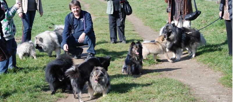 Welpenspielstunde Mittelspitze Kikki und Kobold von der Rosteige mit Spitzfamilie - Teil 2 - 11